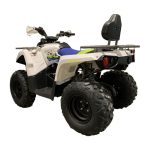 Квадроцикл MOTOLAND Shark 200 — изображение 6