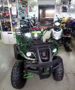 Квадроцикл ATV Avenger Evo — изображение 3