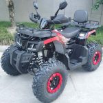 Квадроцикл RACER Gladiator 200 — изображение 2