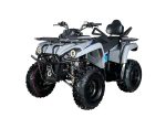 Квадроцикл AVANTIS Forester Long 200 Premium