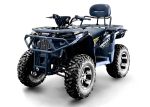 Квадроцикл BIZON ZX350