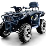 Квадроцикл BIZON ZX350