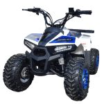 Квадроцикл YACOTA Raposa — изображение 2