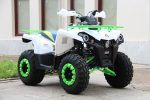 Квадроцикл IRIDE 200 ROVER — изображение 3
