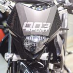 Мотоцикл кроссовый эндуро REGULMOTO Sport-003 PR 300 — изображение 4