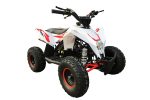 Квадроцикл MOTAX Gekkon 90cc — изображение 2