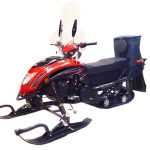 Снегоход REGULMOTO Raccoon разборный