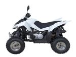 Квадроцикл SYM QuadRaider 300 SS — изображение 3