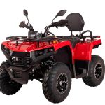 Квадроцикл BIZON YK200 Basic Carb