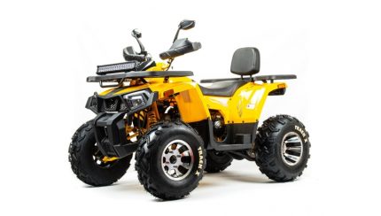 Квадроцикл BISON Track X PRO