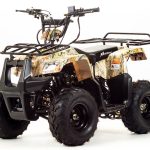 Квадроцикл MOTOLAND 110 Rider (2021 Г.)