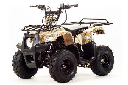 Квадроцикл MOTOLAND 110 Rider (2021 Г.)