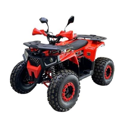 Квадроцикл BISON Forest 125