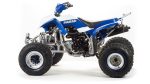 Квадроцикл MOTOLAND 250 Dakar — изображение 4