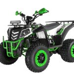 Квадроцикл WELS Thunder Evo 200
