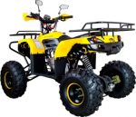 Квадроцикл AVANTIS Patriot M — изображение 6