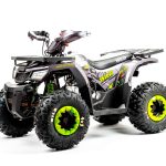 Квадроцикл MOTOLAND Wild Basic 125