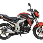 Мотоцикл RACER RC300CK-N FIGHTER ТУРЭНДУРО