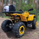 Квадроцикл MOTOLAND 200 Wild Track X — изображение 4