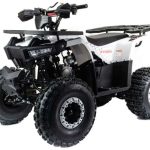 Квадроцикл MOTOLAND ATV 125 Storm