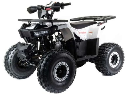 Квадроцикл MOTOLAND ATV 125 Storm