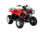 Квадроцикл ARMADA ATV 150L — изображение 2