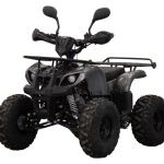 Квадроцикл UNIVERSAL ATV 125 TM Classic