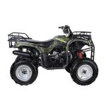 Квадроцикл WELS Purga 170 — изображение 2