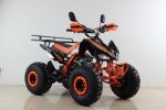 Квадроцикл MOTAX ATV T-Rex Super LUX 50 cc — изображение 3