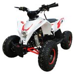 Квадроцикл MOTAX Gekkon 90cc