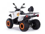 Квадроцикл MOTAX ATV Grizlik 200 Ultra — изображение 2