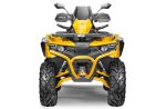 Квадроцикл СТЕЛС ATV 800 Guepard Trophy EPS (ПСМ) — изображение 4