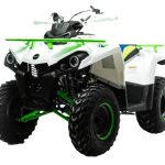 Квадроцикл MOTOLAND 200 Shark (2021 Г.)