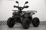 Квадроцикл UNIVERSAL ATV 125 TM Classic — изображение 2