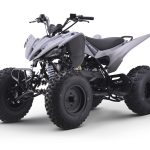 Квадроцикл SHARMAX Raizer Race Cup 250