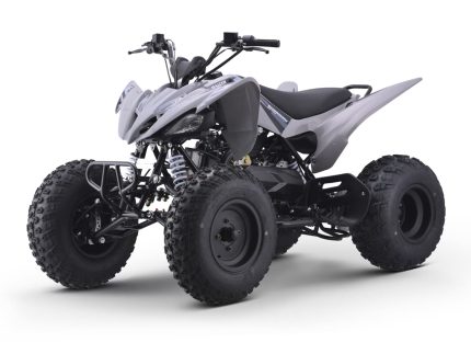 Квадроцикл SHARMAX Raizer Race Cup 250