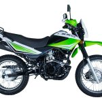 Мотоцикл кроссовый эндуро RACER RC250GY-C2A Panther