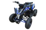 Квадроцикл MOTAX Gekkon 90cc — изображение 5