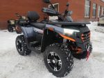 Квадроцикл MOTOLAND ATV 300 Max X — изображение 5