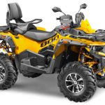 Квадроцикл СТЕЛС ATV 800 Guepard Trophy EPS (ПСМ)
