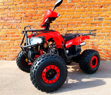 Квадроцикл MOWGLI Bold 8+