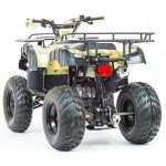 Квадроцикл STALKER 250 — изображение 9