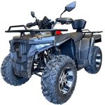 Квадроцикл IRIDE Wolf 300