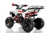 Квадроцикл MOTAX ATV Raptor Super LUX 125 cc — изображение 16